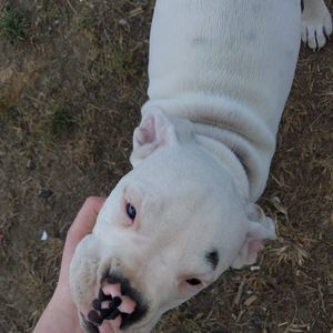 Meet your Posher, Raylynn